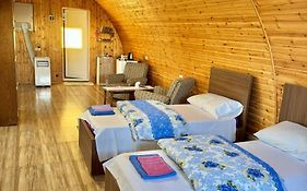 Guest House Amo
